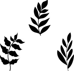 Hand drawn botanical floral elements in line art and silhouette style. Flowers, branches and leaves. Vector set for label, logo, corporate identity, wedding invitation, wreath, frame, border.