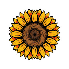 sunflower isolated on white