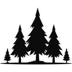 Obraz premium Pine Tree Silhouette