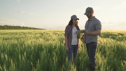 farmers shake hands on field with wheat, teamwork in agriculture, business for production of grain products, meeting of agronomists plantations land, looking into tablet while standing soil with rye.