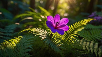 Vibrant purple flower blooming amidst lush green ferns in a sunlit forest, creating a serene atmosphere