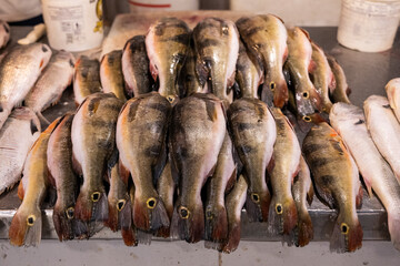 Fishes for sale in public market in downtown Manaus, Amazonas