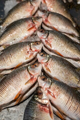 Fishes for sale in public market in downtown Manaus, Amazonas
