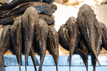 Fishes for sale in public market in downtown Manaus, Amazonas