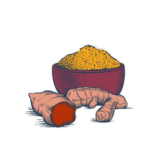 Vector illustration of turmeric root and turmeric powder in engraving sketch style. 