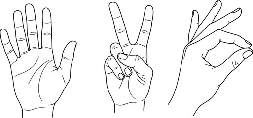 Three distinct hand gestures are depicted in a line drawing: a fully open palm, a V-sign, and a gesture indicating a small amount.