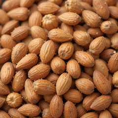 Fototapeta premium Indulge in the wholesome richness of raw almonds - a delectable fusion of nuttiness and nutrition. Perfect for snacking or enhancing your culinary creations with a delightful crunch.
