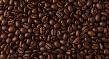 Fototapeta premium Full frame close-up background texture of numerous freshly roasted dark coffee beans, ideal for coffee-related designs.