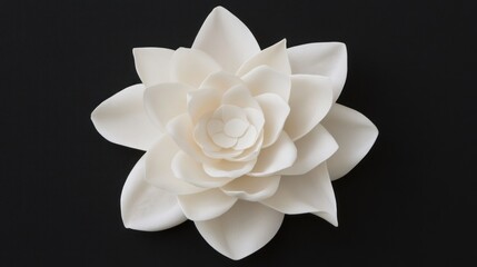 Serene alabaster bloom with intricate petals casting soft shadows on black backdrop