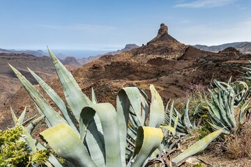 gran canaria, spain, on the move in the mountains