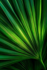 Obraz premium A close-up of the inside of a palm tree leaf, with bright green colors. Stock photo