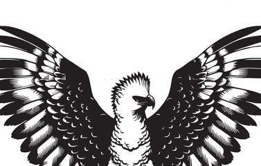 Harpy Eagle Vector in black and White
