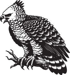 Harpy Eagle Vector in black and White