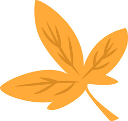Orange autumn leaf