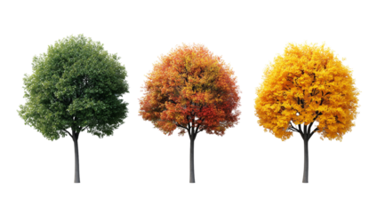 Deciduous trees show seasonal colors, created with AI