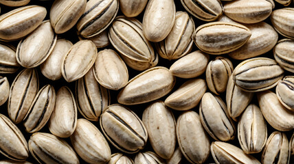 Natural Sunflower Seeds Pattern for Food Backdrop