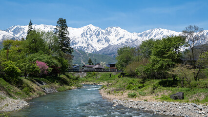 大出公園から望む残雪の北アルプス 長野県白馬村