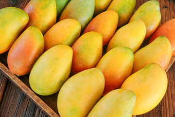 Fresh Hainan Guifei Mangoes - Ripe Tropical Sweetheart Fruit Harvest in Wooden Basket