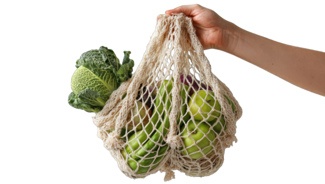 Hand holds a reusable mesh bag filled with various fresh produce