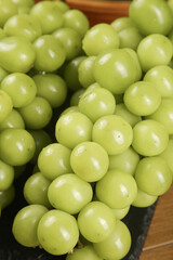 Fresh Green Grapes with Crystal Glossy Skin - Emerald Fruit from Yunnan Guizhou China