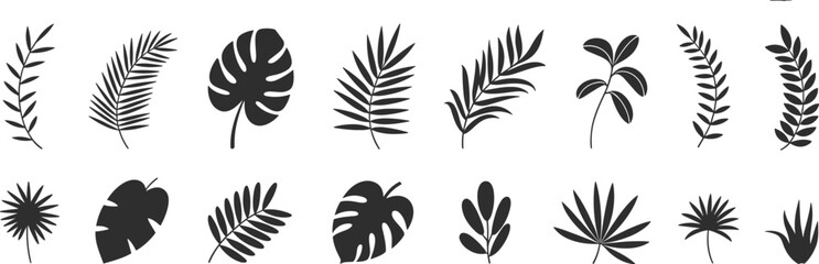 Tropical leaves silhouette set, palm leaf, monstera, jungle plants, botanical vector illustration, black foliage design for nature decoration © Siam Creatives