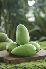 Fresh Raw Hainan Mangoes on Wooden Board in Tropical Garden Setting