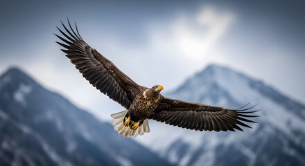 Obraz premium Majestic Eagle Soaring Above Snow-Capped Mountains in Natural Habitat.