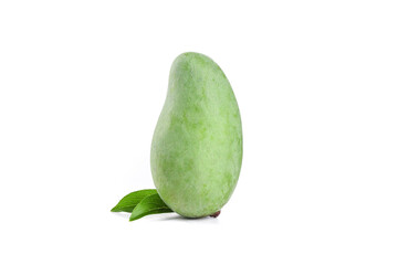 Fresh Raw Green Mango with Leaves on White Background - Hainan Tropical Fruit