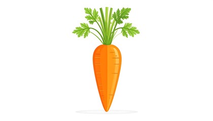 Carrot illustration with leaves