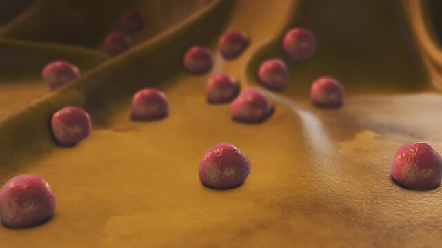 Medical Concept of Staphylococcus Aureus Bacteria