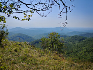 Wide panorama from Három-kő Saddle in the Bükk Mountains, Hungary, with forested slopes, distant hills, and a bright horizon framed by tree branches.