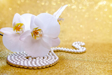 A branch of white orchids on a shiny gold background
