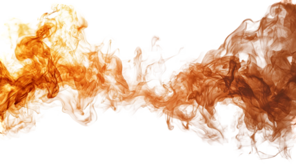 skull, isolated, illustration, human, head, skeleton, bone, medical, health, medicine, 3d, background, scary, halloween, transparent, dead, face, symbol, death, vector, body, front, anatomy, model, sc