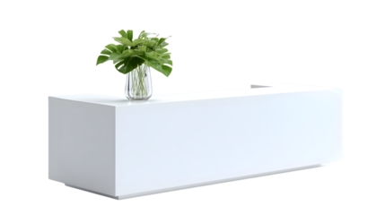 Minimalist Office Furniture
