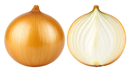 Onion, Whole and Halved View Showing Layers and Texture on white background