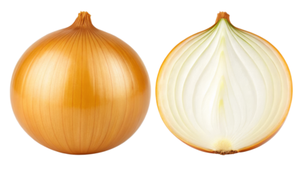 Onion, Whole and Halved View Showing Layers and Texture on white background