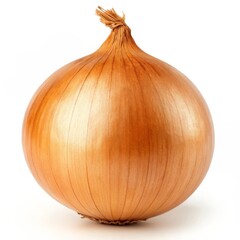 Single Brown Onion on White Background