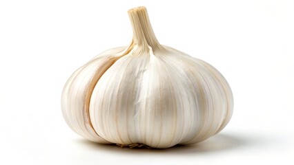 Single Garlic Bulb Isolated on White Background