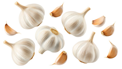 Fresh Garlic Bulbs and Cloves Floating on Transparent Background