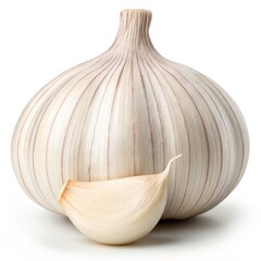 Fresh Garlic Bulb and Clove on White Background