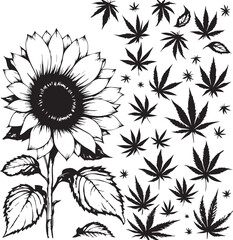 “The Bloom That Didn’t Just Shine, It Shared Space”

“Petal & Leaf: A Conversation in Contrast”

“Roots of Radiance, Leaves of Liberation”