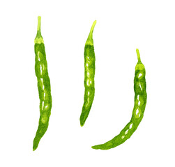 青唐辛子のセット　野菜・薬味の手描き水彩イラスト素材