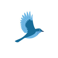 Blue bird flying