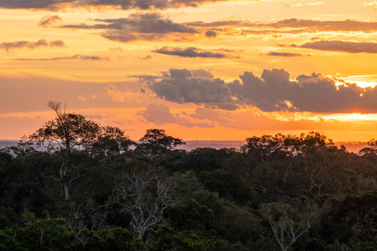 Beautiful view to amazon rainforest sunset clouds and trees in MUSA