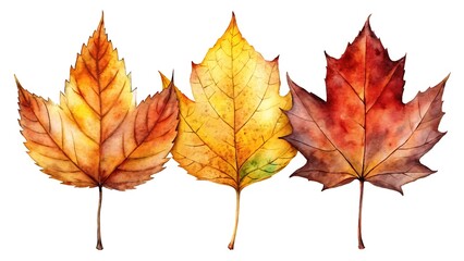 Watercolor autumn leaves isolated on white background in vibrant shades of red, orange, and yellow, showcasing the beauty of fall