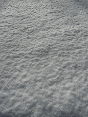 Snow surface white winter background.
