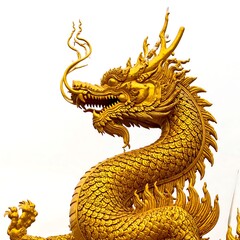 Fototapeta premium Golden dragon statue head and neck