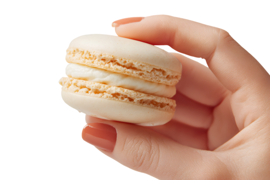 Hand holding a macaron isolated on transparent background
