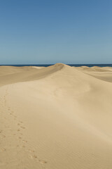 Sandy Dunes by the Ocean