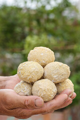 Fresh Golden Brown Fluffy Eggs Held in Hands with Natural Garden Background